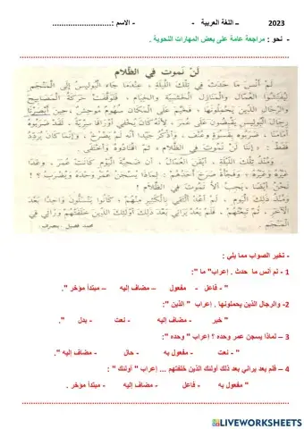 اختبار عام على بعض المهارات النحوية .