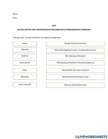 LKPD Hormon Tumbuhan