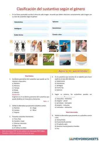 Clasificación del sustantivo según el género