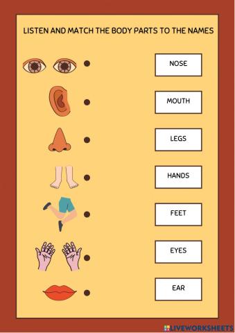 Body Parts