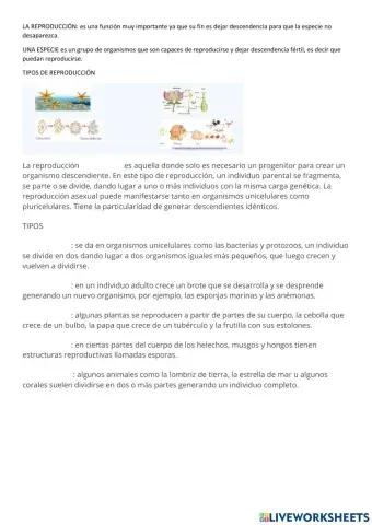 Reproducción asexual