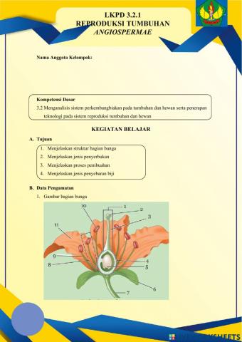 Sistem Reproduksi Tumbuhan