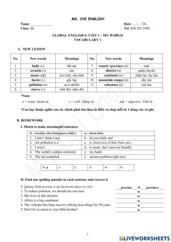 Foreign Teacher-S6-U1-VOCAB1