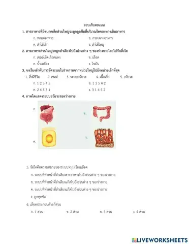สอบเก็บคะเเนน ระบบร่างกาย