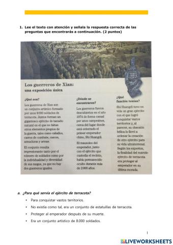 Comprensión lectora