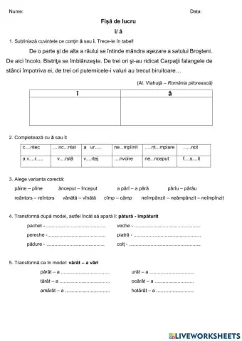 Fișă lucru - â- î