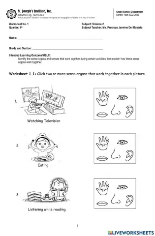 Senses Working Together