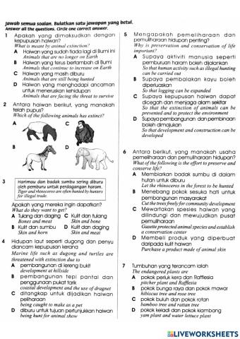 Preservation and Conservation