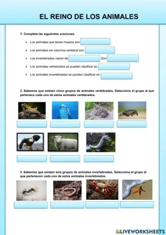 El reino de los animales