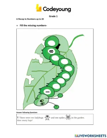 A Recap to Numbers up to 20-Advance WS