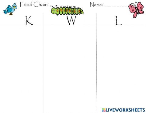 Food Chain - Food Web KWL Organizer