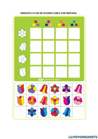 Lógica das cores e flores