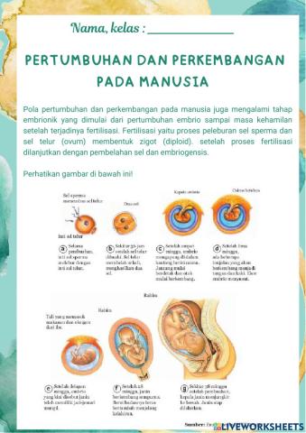 Kehamilan dan Penyakit sistem Reproduksi