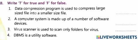 Computer Software true or false