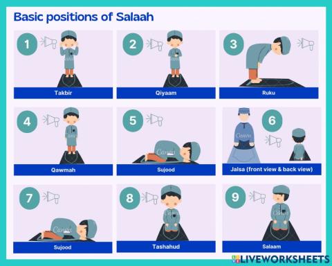 Basic Positions of Salaah