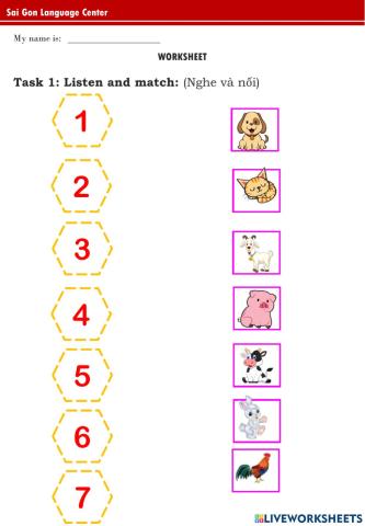 PPD A5 - Eagle (19.8..2022)