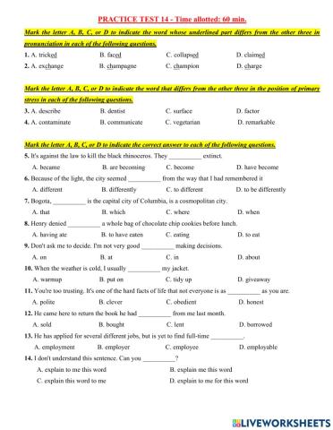 E9-ôn 10 practice 14