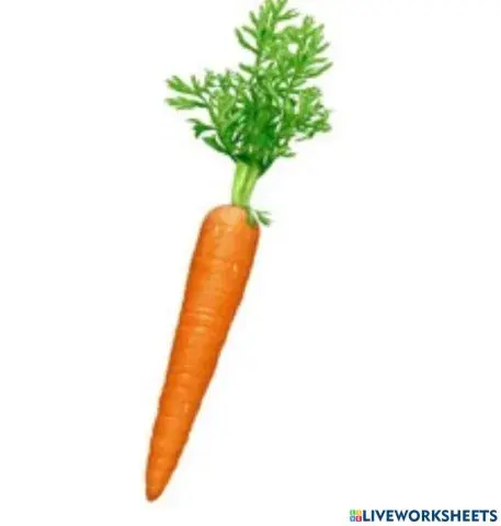 Partile componente ale morcovului