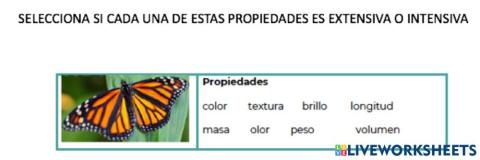 Propiedades extensivas e intensivas