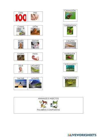 Insectos -animales con nombres compuestos