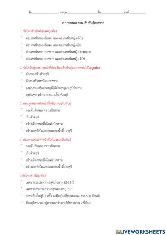 ระบบสืบพันธุ์เพศชาย