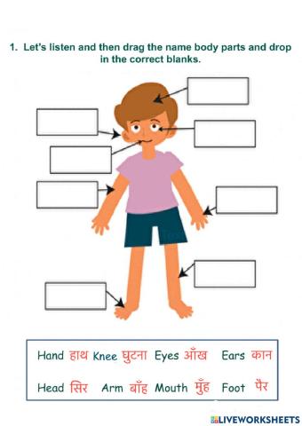 Body parts name in Hindi