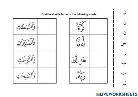 Shaddah - spot and count