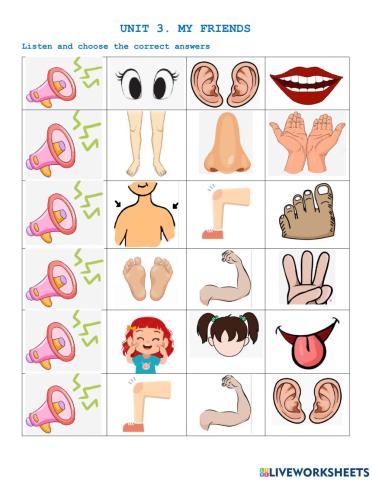 Vocabulary Unit 3 English 6 Global Success