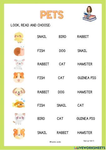 1º unit 3: pets