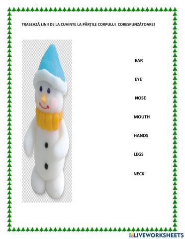 The parts of the body