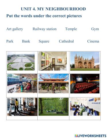 Vocabulary Unit 4 English 6 Global Success
