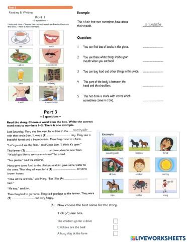 Test 2 - movers 3 - writing - reading