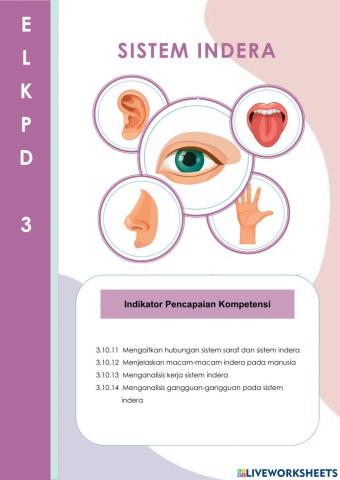 E-LKPD Interaktif 3: Sistem Indera