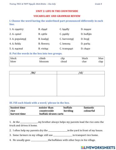 Grade 8-U1-Vocabualry and grammar review