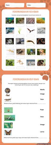 Perkembangbiakan hewan