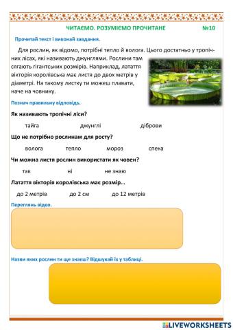 Читаємо. Розуміємо прочитане