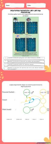 Identifikasi kromosom