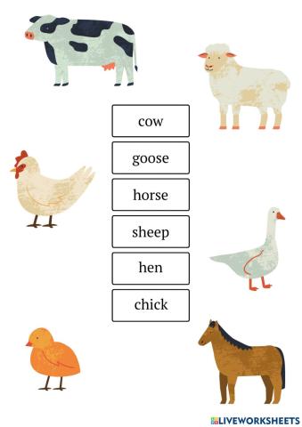 Farm animals