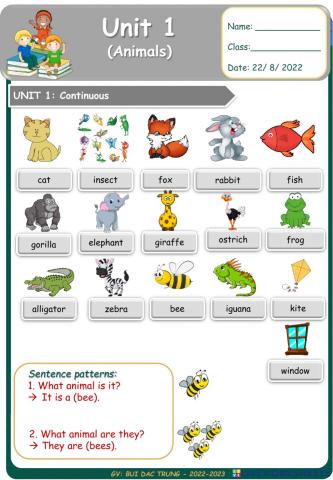 Uni1 Animals NGT 1
