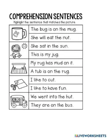 Sight Words