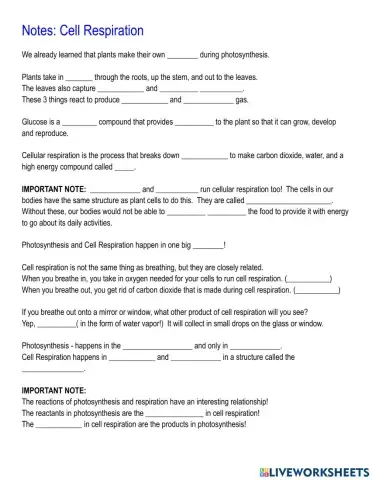 Notes: Cellular Respiration