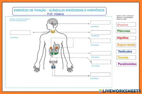 Glândulas endócrinas e hormônios
