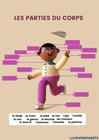 Les Parties du Corps