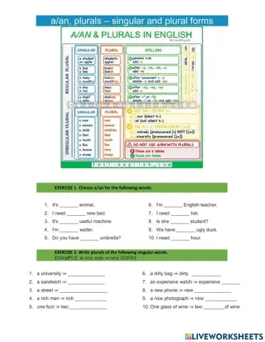 A1-A-An-Singular and Plural Nouns