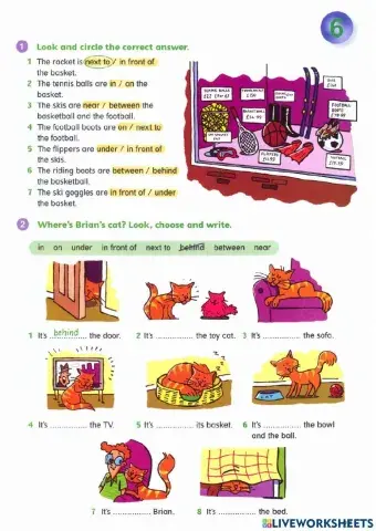 Idict 2 - Unit 3 - Lesson 7