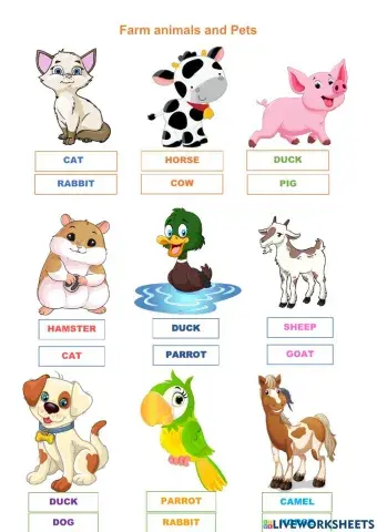 Farm animals and pets