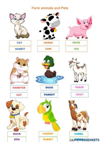 Farm animals and pets