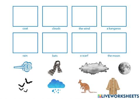 Lions: What's the weather like?