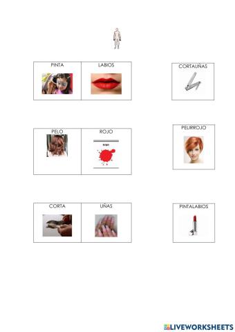 Palabras compuestas-cuerpo