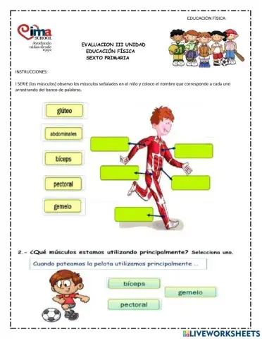 Evaluación educación física